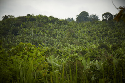 Climate & Political Change in Ecuador