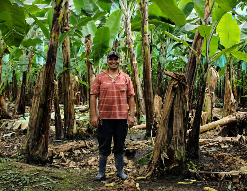 What the Fairtrade Label Means — and Why You Should Care