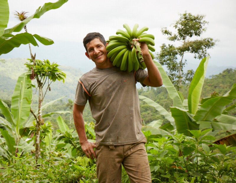 Wilson’s Awesome Organic Bananas